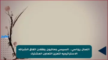 اتصال رئاسي.. السيسي وماكرون يفعّلان اتفاق الشراكة الاستراتيجية لتعزيز التعاون المشترك
